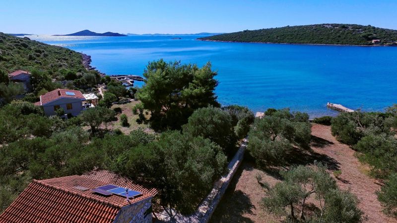 House Olive Tree Tkon - foto 1
