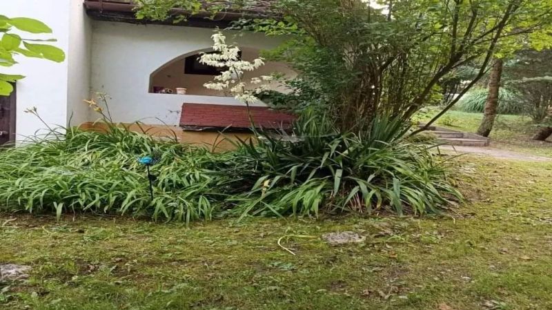 Gyöngy Vendégház Szalafő - foto 1