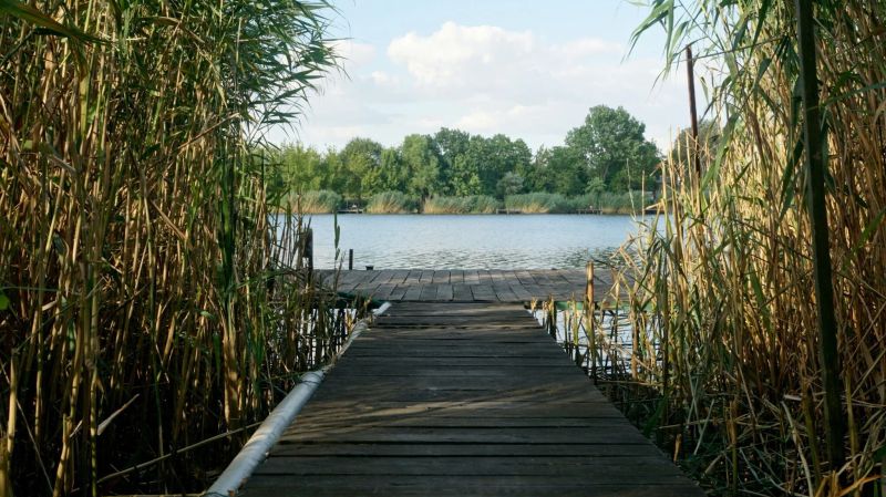 Kis Tisza Horgász Vendégház Tiszaug - foto 1