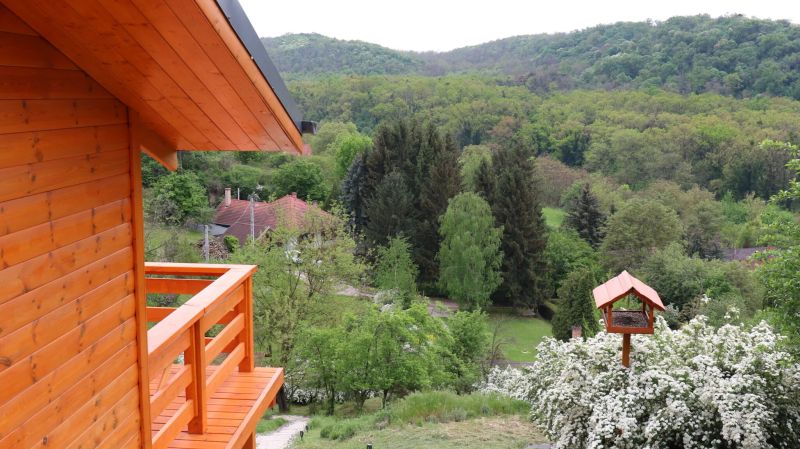 Szajkó Fakuckó*** Tamási - foto 1