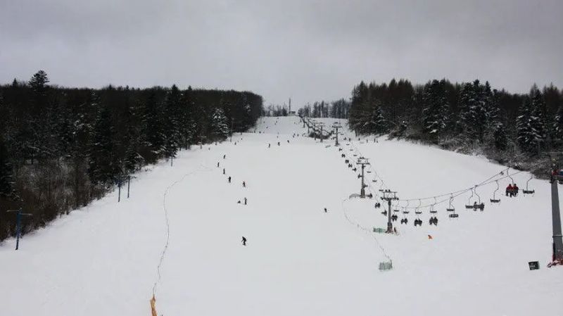 Villa Neve Ustrzyki Dolne - foto 1