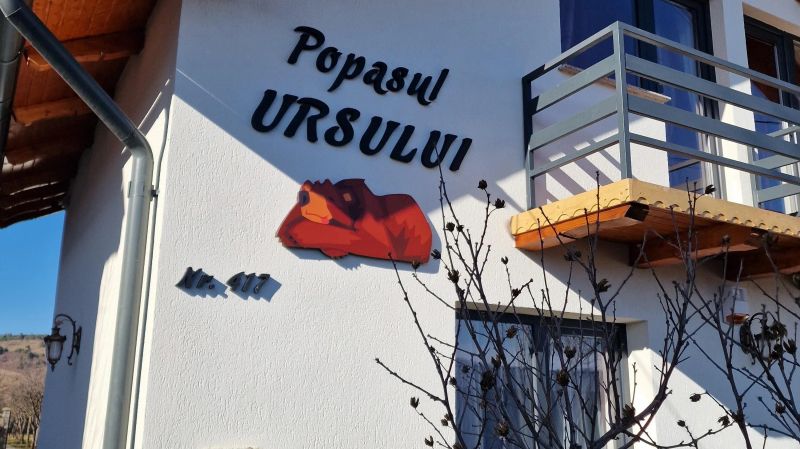 Popasul Ursului Zărnești - foto 1