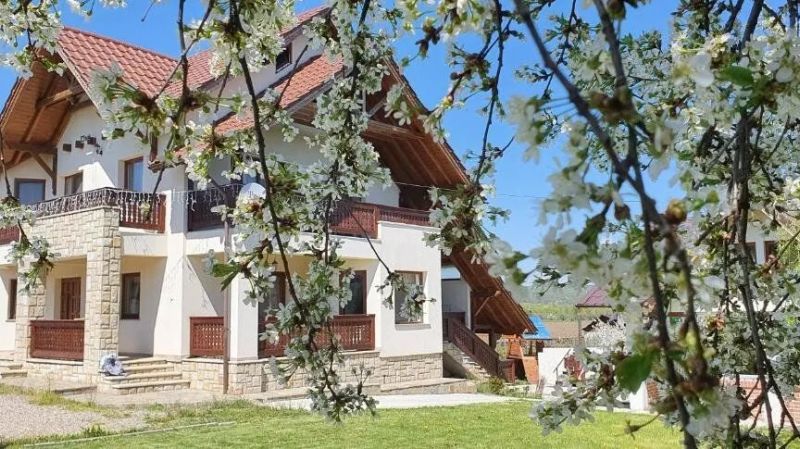 Pensiunea Zestrea Bunicilor Bodești - foto 1