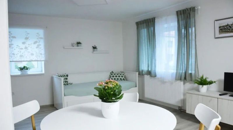 Apartmán Květinový Dům Hluk - foto 1