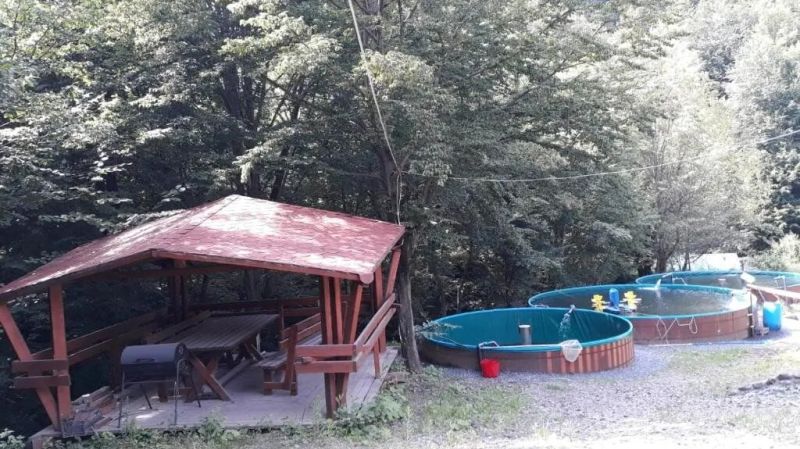 Cabana Alpha Chiuzbaia - foto 1