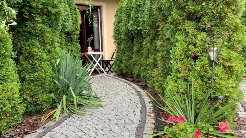 Pokoje Willa Zdrój Kudowa-Zdrój - foto 1