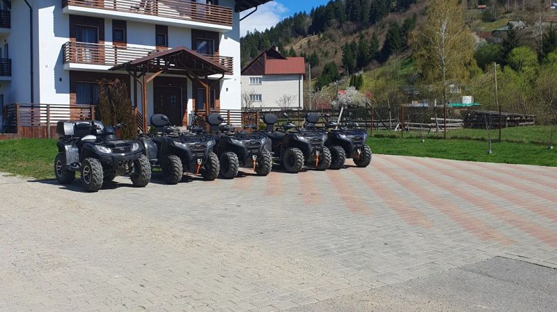 Pensiunea ACASA LA VLADUȚ Borşa - foto 1