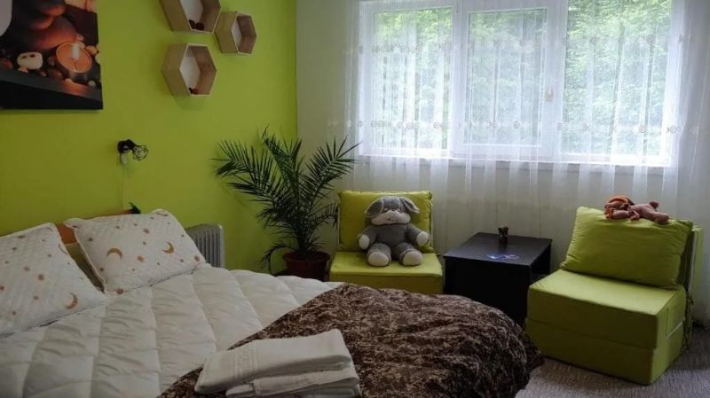 Casa Elena Brădetu - foto 1