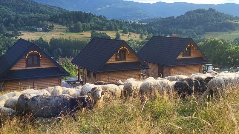 Chaty pod Pilskiem Krzyżówki - foto 1