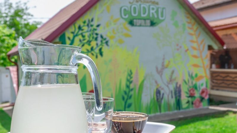 Pensiunea Codru Topolog - foto 1