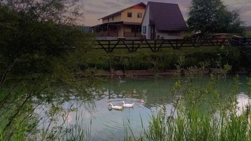 Căsuța de la Râu Râșca - foto 1