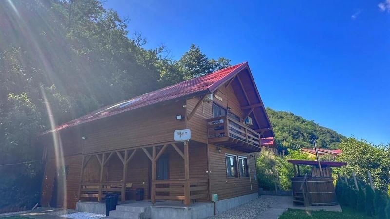 Casa Favorit Orăştioara de Sus - foto 1