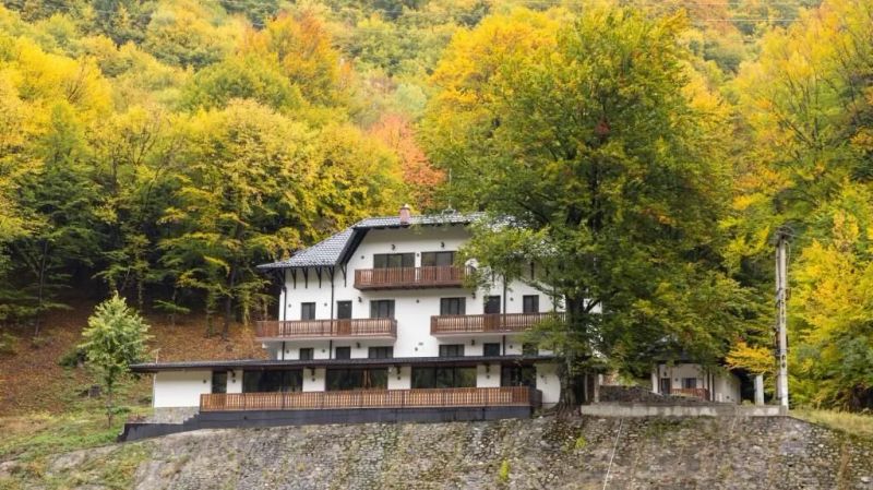 Pensiunea Poiana Mucenicului Arefu - foto 1