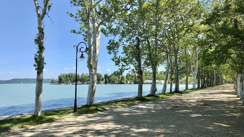 Családi Nyugalom Apartman Balatonföldvár - foto 1
