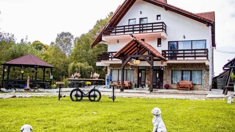 Vila Vibrant Bran - foto 1