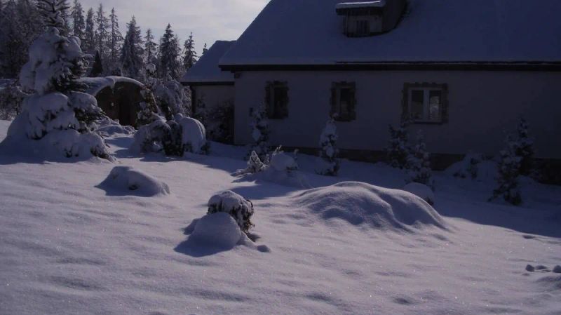 Ściborówka - foto 1