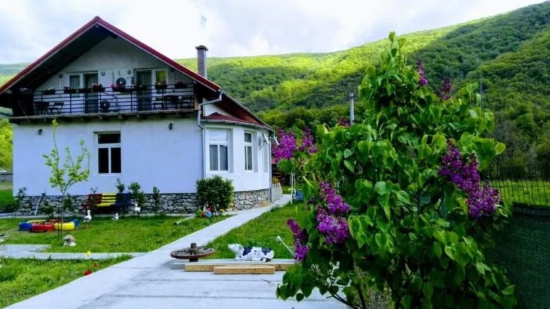 Vila di Pau Băile Herculane - foto 1