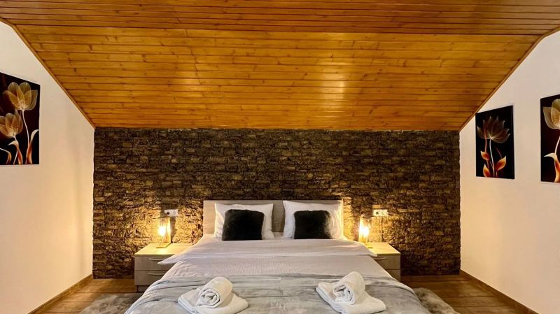 Casa Iris Mogoșa - foto 1