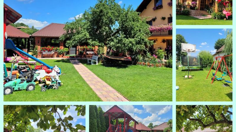 Vila Deni Predeluț - foto 1