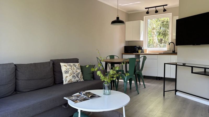 Dzika Brzoza Apartamenty Dwupoziomowe Rusinowo - foto 1