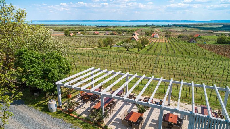 Tagyon Birtok Tulipán Apartmanház Tagyonhegy - foto 1