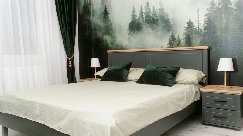 IBA Apartment Buşteni - foto 1