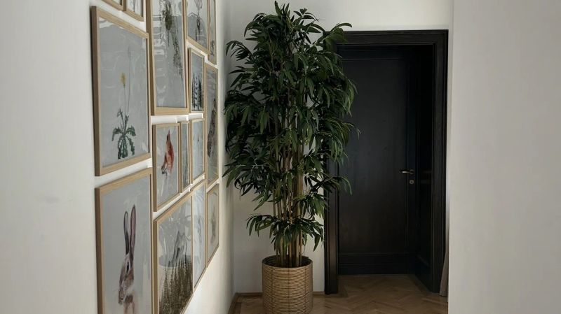 Apartament Nature Inspired Stay in Piata Sfatului Brașov - foto 1