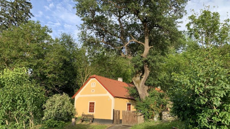 Kapolcsi Kecskekő Vendégház - foto 1