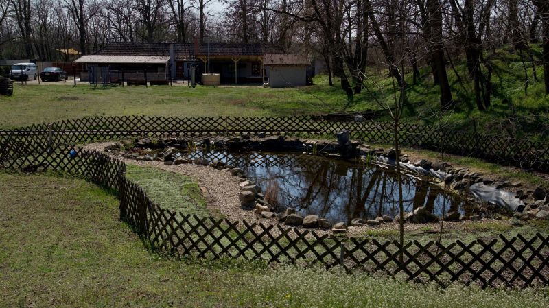 Relaxbirtok Üdülőház Heves - foto 1