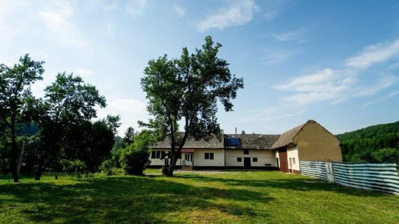 Casa Buzaiel 910 Vama Buzăului - foto 1