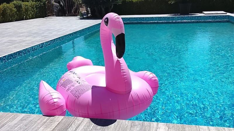 Apartment Lazy Dayz Pool Trogir - foto 1