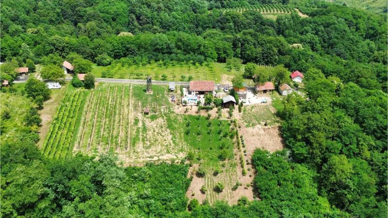 Vendégház Ludbreg - CCC761 - foto 1