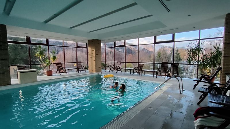 Hotel Valea cu Pești Arefu - foto 1