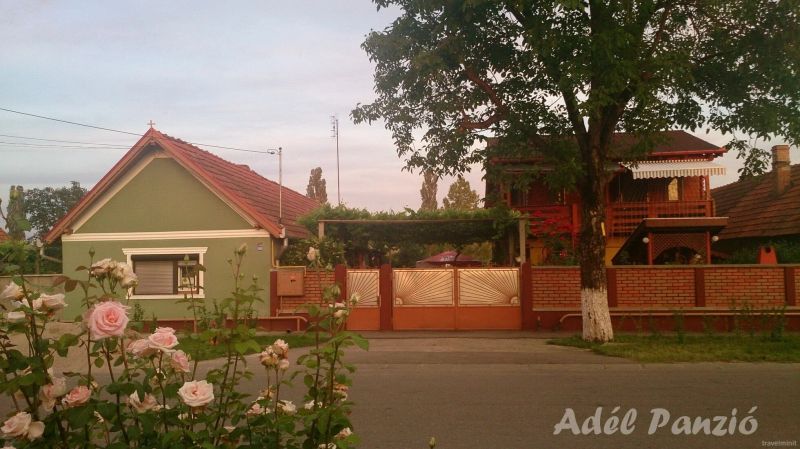 Pensiunea Adela Cristur - foto 1