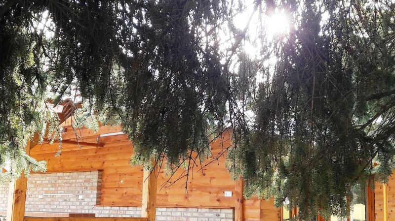 Lipicai Ifjúsági Szálló Szilvásvárad - foto 1