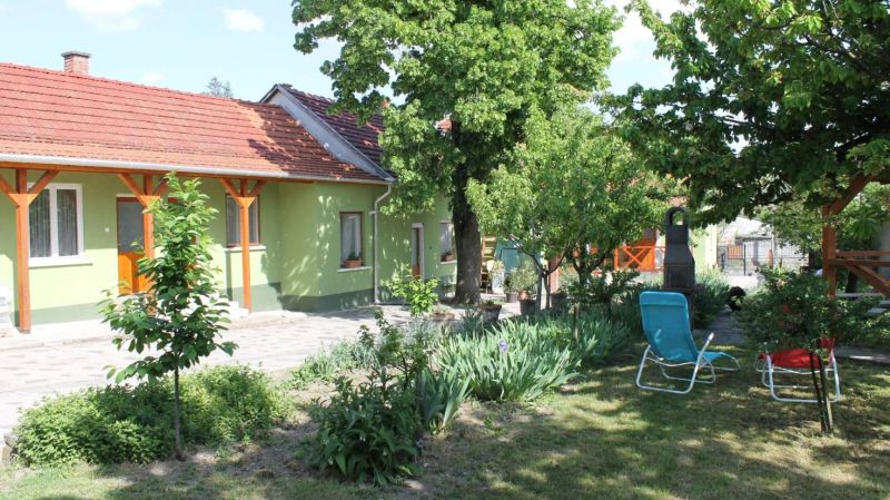 Homoky Család Pincészete és Vendégháza Tállya - foto 1