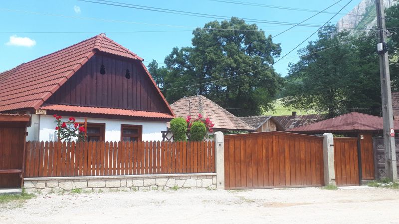 Pensiunea Rita Rimetea - foto 1