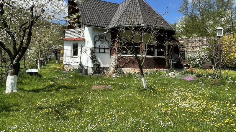Cabană Cseke Praid - foto 1