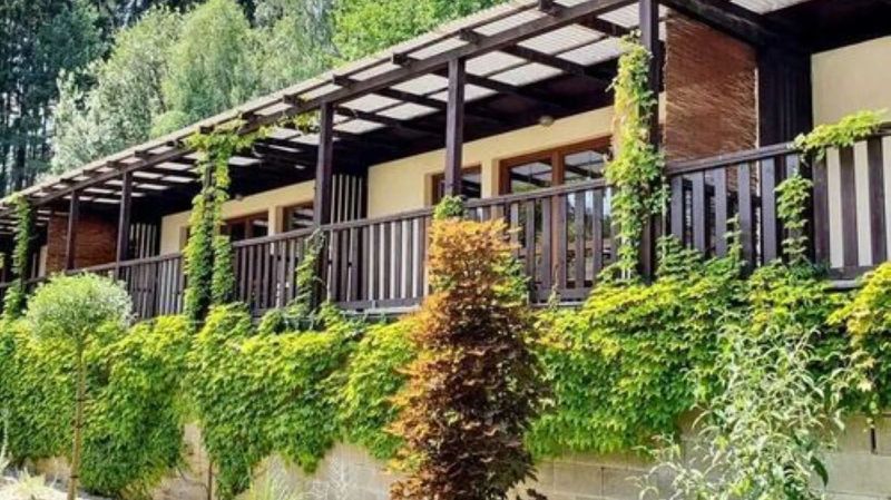 Resort Lesní Lázně Zvánovice - foto 1