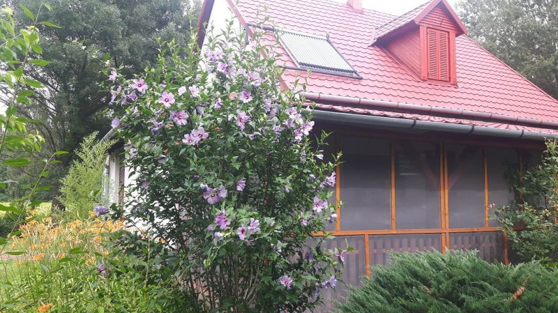 Tiszai Vándor Apartmanház Kisköre - foto 1