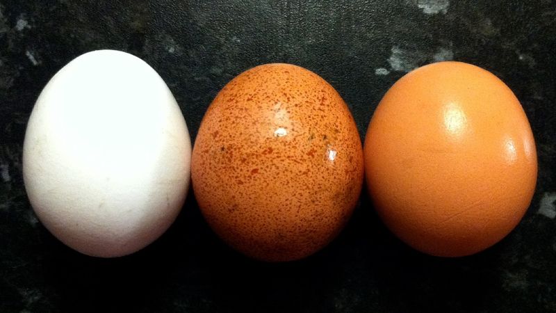 12 powodów, dla których warto jeść jajko każdego dnia. To naturalna bomba odżywcza!