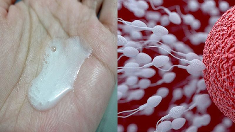7 sposobów, jak naturalnie poprawić jakość spermy i zwiększyć w niej liczbę plemników