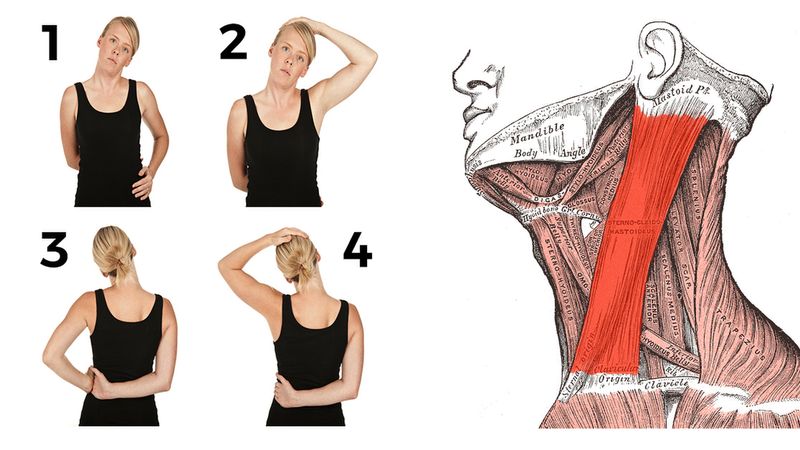 8 relaksujących ćwiczeń na bolący kark i szyję. Ból zniknie po paru minutach