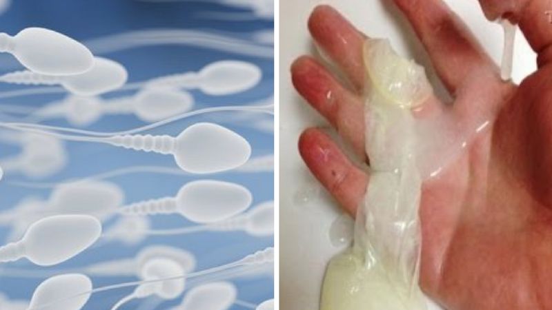 Sperma może posłużyć do skutecznego leczenia raka. Sprytna, ale nieco kontrowersyjna metoda