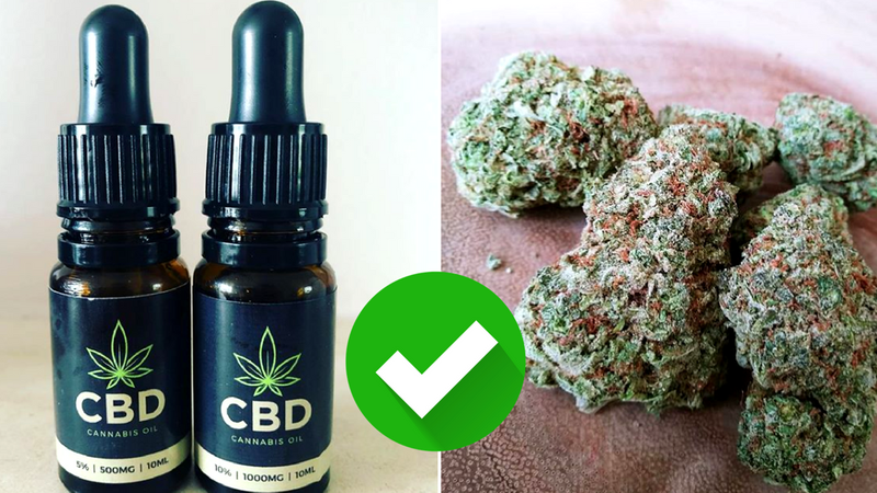 Olej CBD pozyskiwany z marihuany leczy m.in. epilepsję, depresję i otyłość. Jest legalny