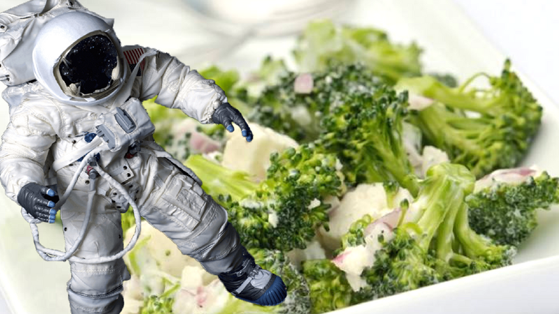 Dieta astronauty, dzięki której szybciej schudniesz i przyśpieszysz przemianę materii