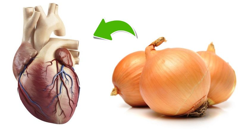7 zdrowotnych właściwości cebuli o których zapomnieliśmy. Serce i układ trawienny ją kochają