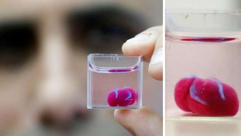 Po raz pierwszy wydrukowali w 3D serce z komórek pacjenta