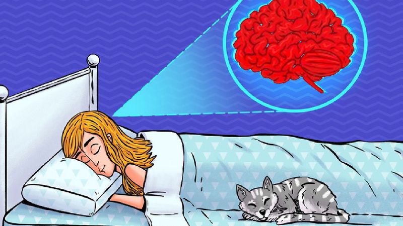 Niedobór snu sprawia, że mózg zaczyna się „zjadać”. Najnowsze badania dają do myślenia