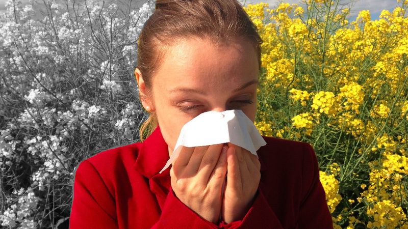 Alergia na pyłki drzew i traw nie daje Ci spokoju? Zacznij z tym skutecznie walczyć